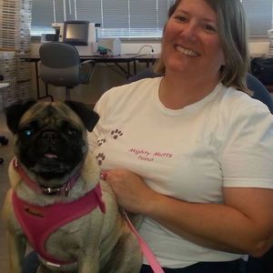 Meet your Posher, Terry